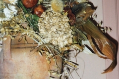 Immagine1