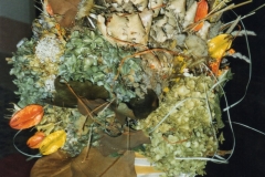Immagine2