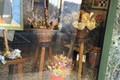 Immagine7