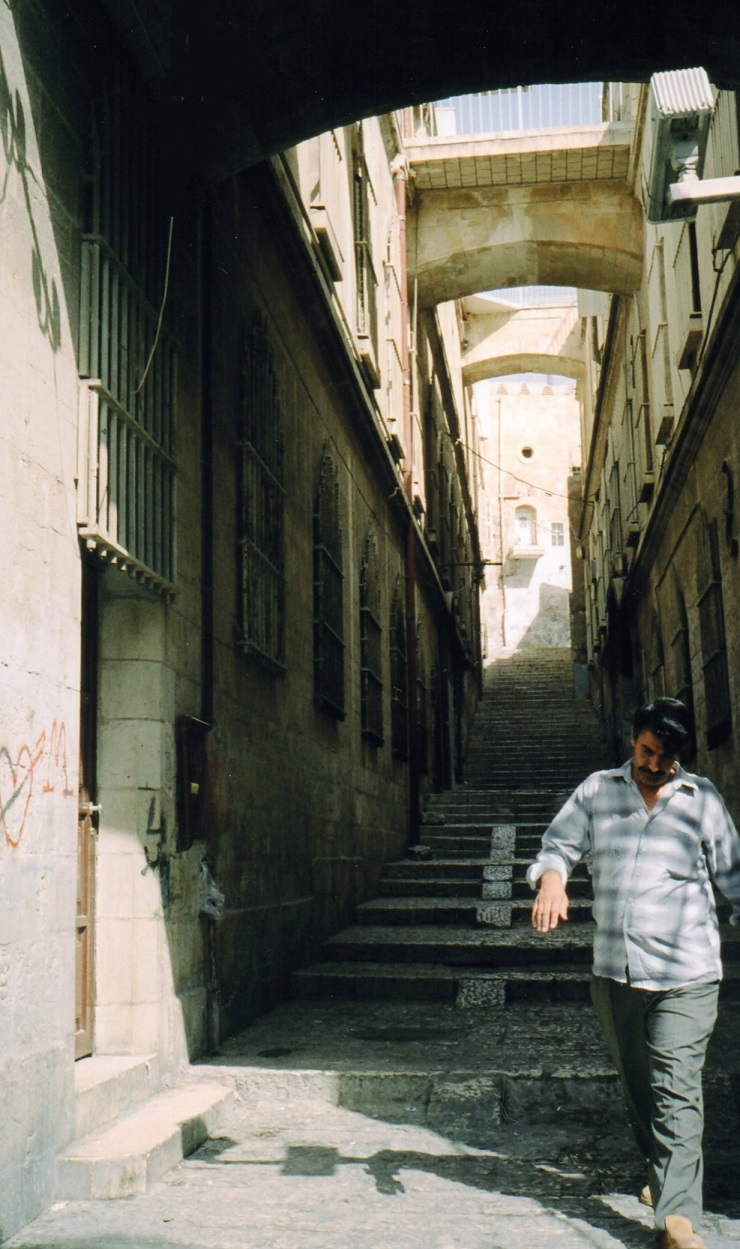 Immagine5
