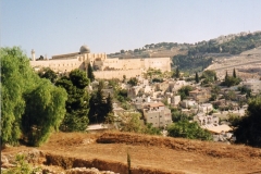 Immagine1